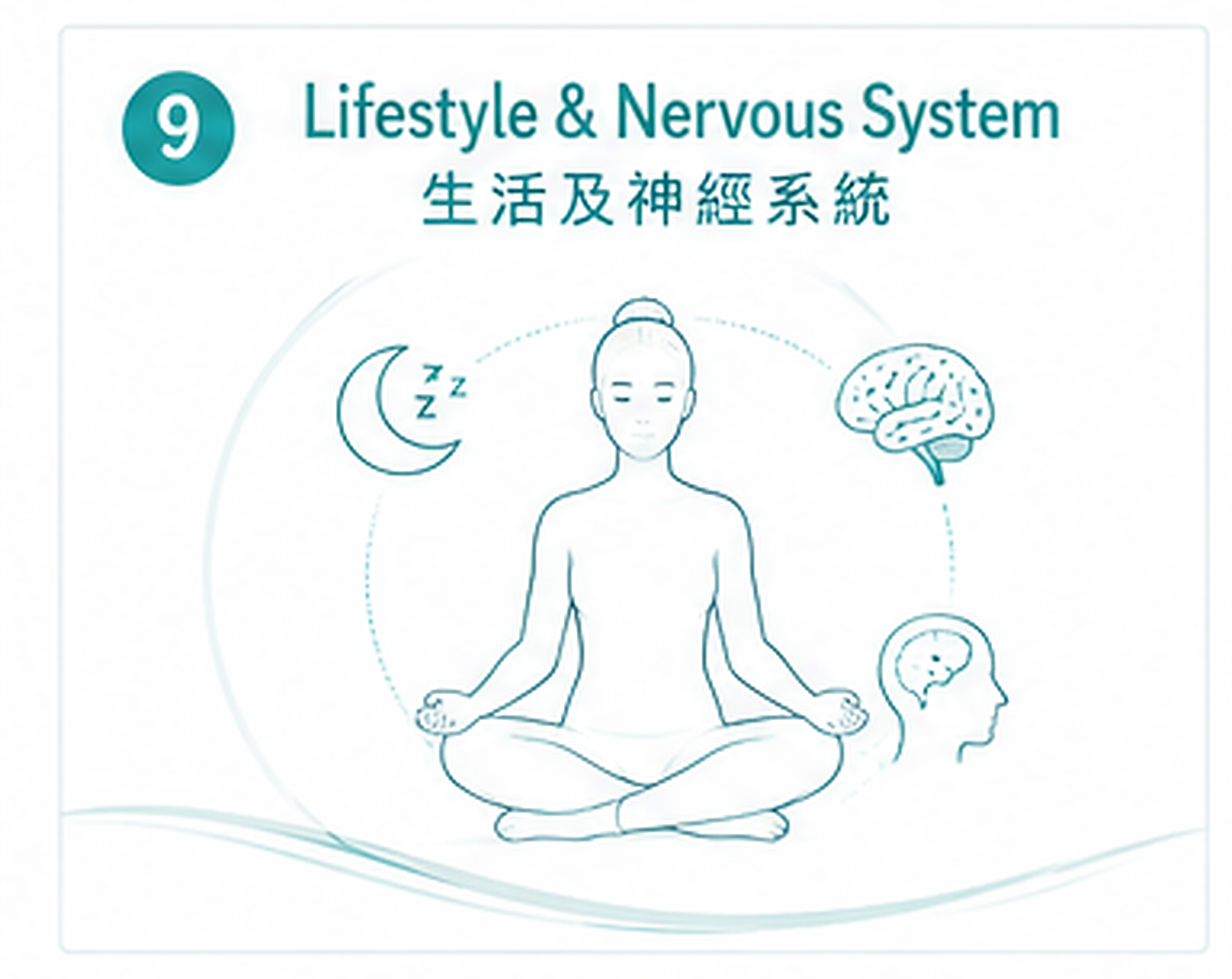 生活及神經系統